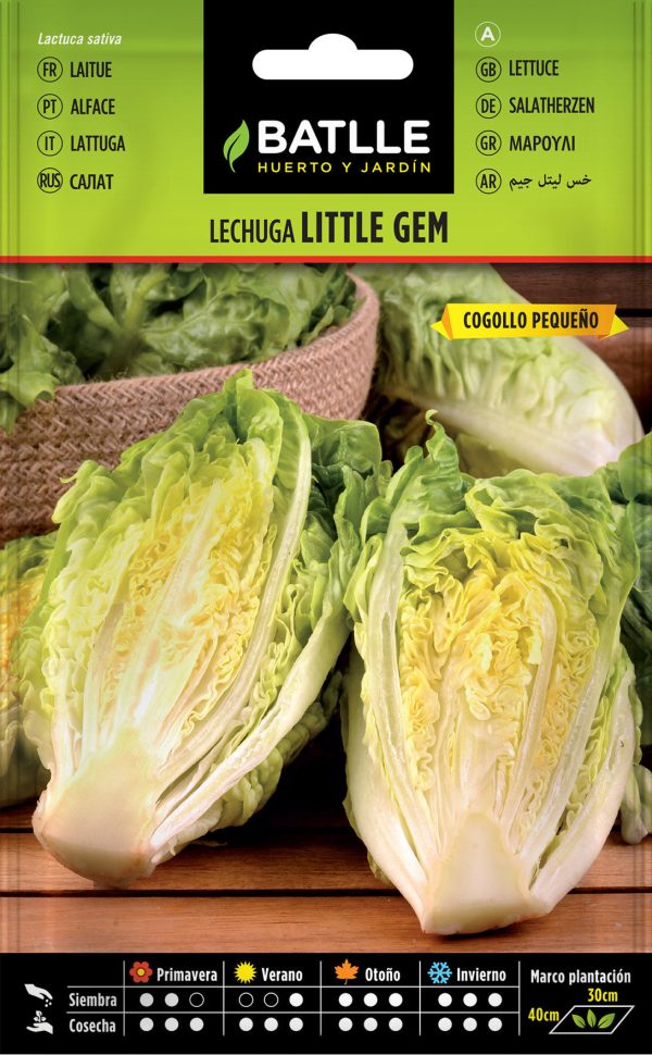 Semillas Lechuga Little Gem Tipo Cogollo