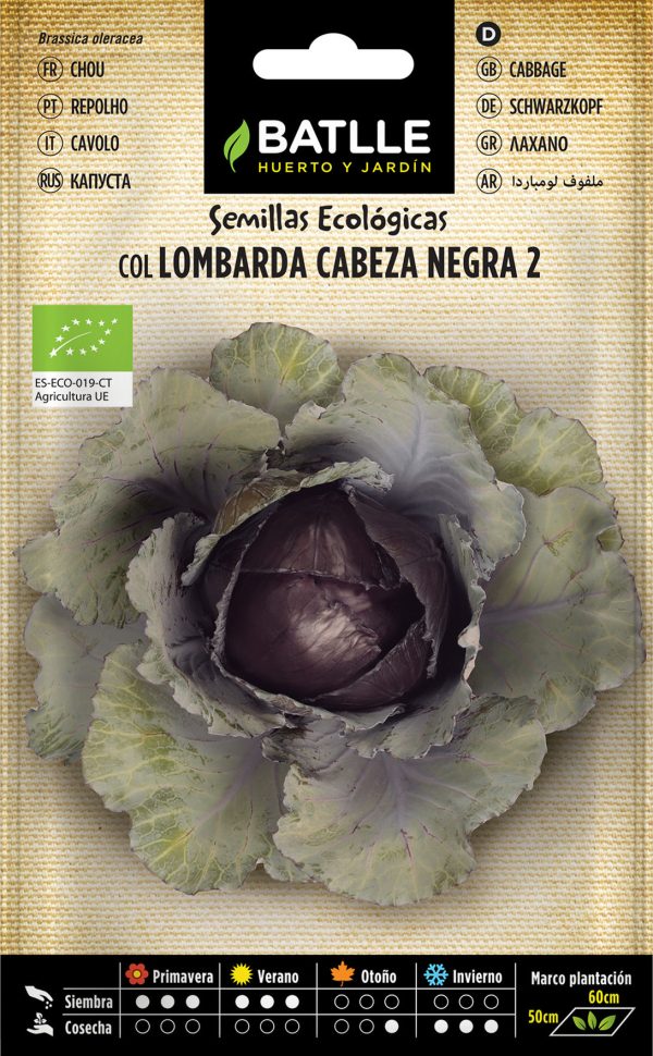 Semillas Ecológicas  Col Lombarda Cabeza Negra 2